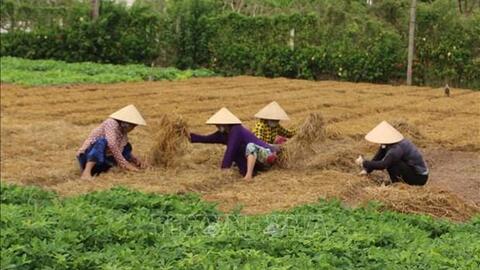 Hà Nội khuyến khích phát triển mô hình nông nghiệp tuần hoàn