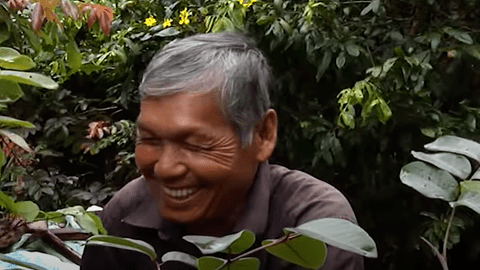 "Lộc trời" ban cho Việt Nam: Người nước ngoài rất muốn mua, chủ vườn nhất quyết không bán