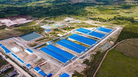 Chung tay đẩy mạnh hợp tác trong lĩnh vực nông nghiệp công nghệ cao