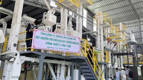 Sản xuất lúa hữu cơ - Hướng đi bền vững ở Quảng Trị