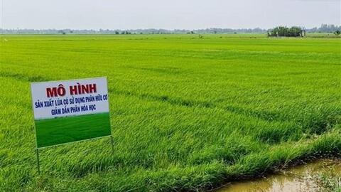 Bạc Liêu nhân rộng sản xuất nông nghiệp theo hướng hữu cơ