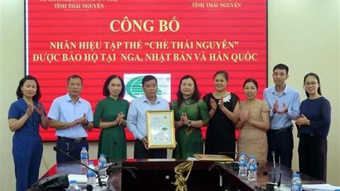 Thương hiệu chè Thái Nguyên vươn ra thế giới