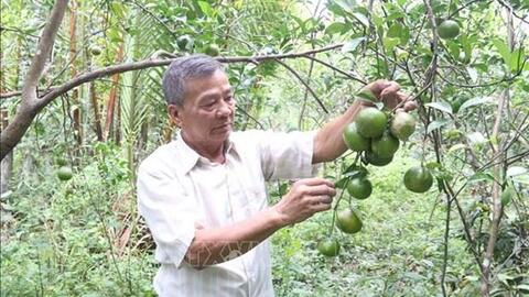 Trà Vinh hỗ trợ phát triển kinh tế tập thể và xây dựng sản phẩm OCOP