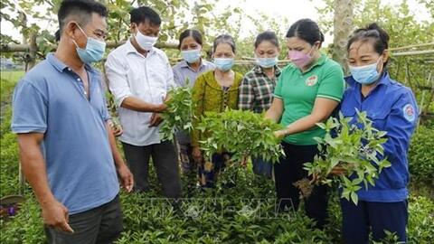 Phát triển nông nghiệp sinh thái - hướng đi bền vững