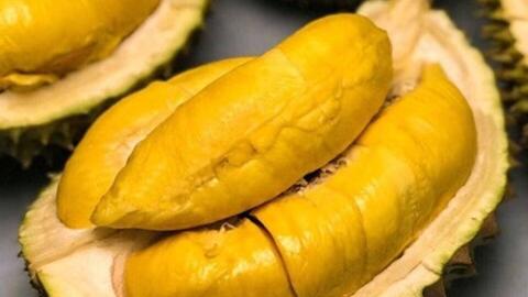 Quản lý và phát triển nhãn hiệu sầu riêng Tân Thới