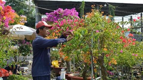 Đồng Tháp công nhận Làng nghề hoa giấy ấp Tân Thuận A - Tân Thuận B
