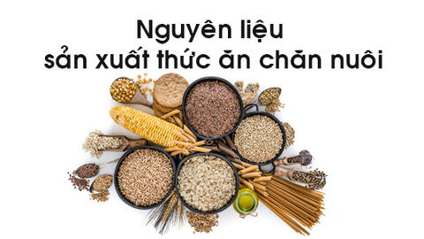 Giải pháp giảm thiểu tác động của biến động giá nguyên liệu đến chăn nuôi lợn và gia cầm
