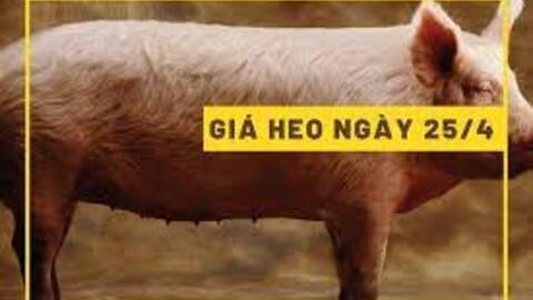 Giá sản phẩm chăn nuôi ngày 25/4/2023 của một số doanh nghiệp lớn