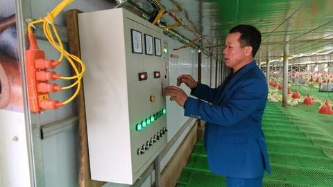 Trang trại bò, vịt lớn nhất đất mỏ