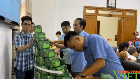Nậm Nhùn giúp nhà đầu tư, HTX sản xuất, kinh doanh hiệu quả