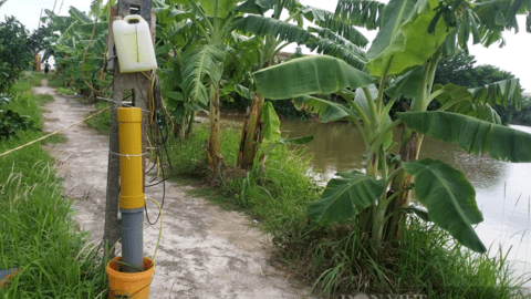 "Góc khuất" chuyển đổi số nông nghiệp: Khi hệ thống cảm biến dưới ao cá bị đưa... lên bờ (Bài 1)