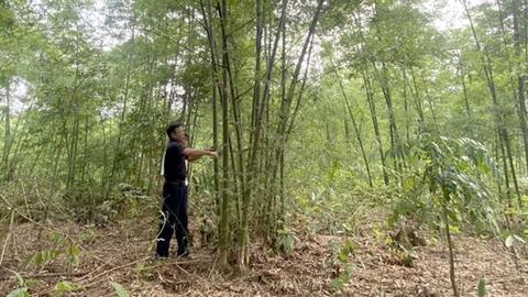Thanh Hóa tháo gỡ khó khăn trong tiêu thụ nông sản miền núi