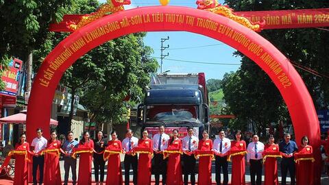 Hội Nông dân Sơn La đồng hành cùng nông dân đưa nông sản vươn xa
