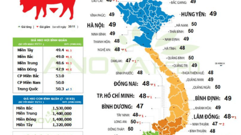 Giá lợn hơi hôm nay "trượt dốc cao", toàn quốc giảm sâu