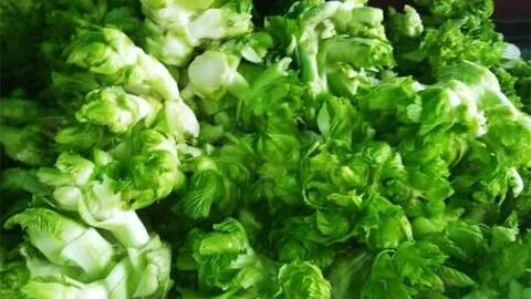 Bí mật về loại rau xứ lạnh, đặc sản gây sốt trên thị trường, nhiều người &#x27;săn lùng&#x27; bằng được