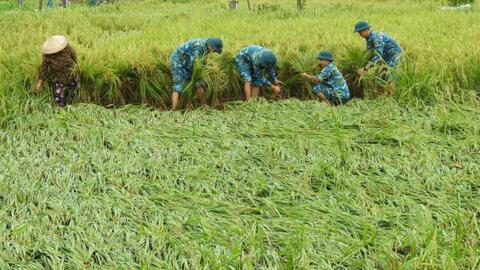 Bài cuối: Nông nghiệp thông minh, thích ứng với biến đổi khí hậu