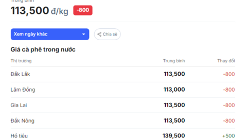 Đắk Nông, Đắk Lắk và Gia Lai cùng điều chỉnh giá thu mua cà phê về mức ngang nhau, cao nhất Tây Nguyên