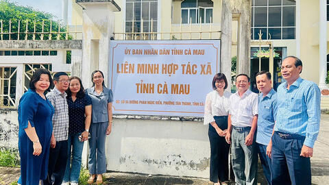 Liên minh HTX Việt Nam thúc đẩy giảm nghèo bền vững tại Cà Mau với mô hình nuôi nghêu kết hợp du lịch cộng đồng