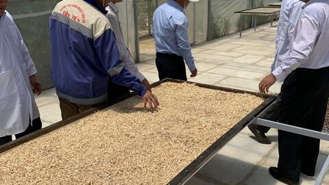 Xây dựng công trình tạm trên đất nông nghiệp: Mừng và lo