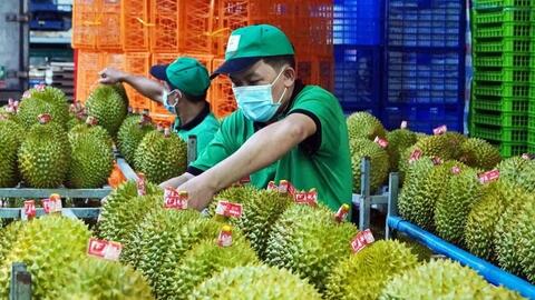 Xuất khẩu rau quả tháng 8 tăng trưởng mạnh, Việt Nam là Top 3 thị trường cung cấp tại Trung Quốc