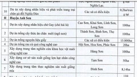 Nghệ An: Hơn 11 nghìn tỷ đồng đầu tư 31 dự án trọng điểm dọc đường Hồ Chí Minh