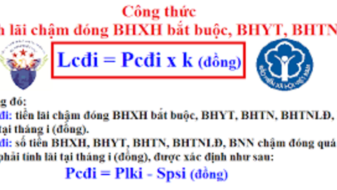 Truy thu BHXH có bao gồm tiền lãi chậm nộp?