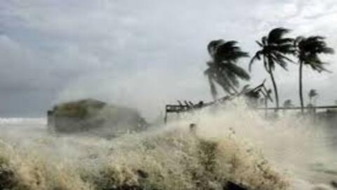 CẬP NHẬT: Bão số 8 giật cấp 14, sóng cao tới 8m, biển động dữ dội