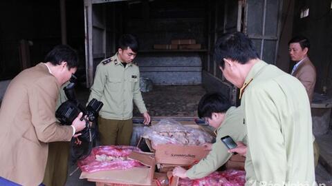 Chặn đứng vụ vận chuyển 288 kg gà thịt không đầu, không rõ xuất xứ