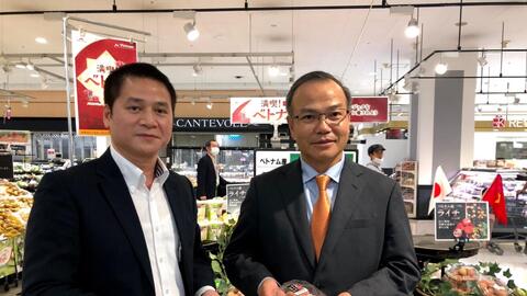 Đa dạng phương thức xúc tiến tiêu thụ vải thiều sang Nhật Bản