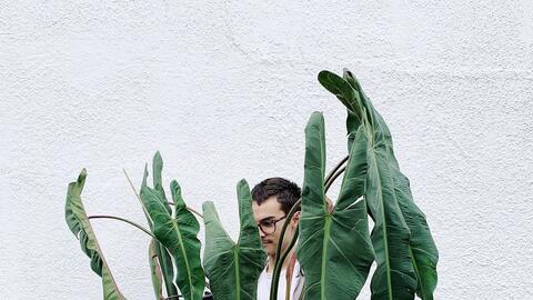 Phải ở nhà, người Singapore chọn cây cảnh thay đồ hiệu