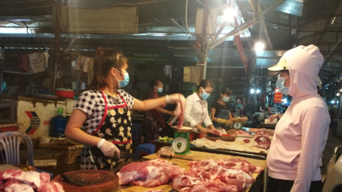 Giá lợn hơi giảm, có trang trại tồn hàng phải nuôi "báo cô" hàng chục nghìn con