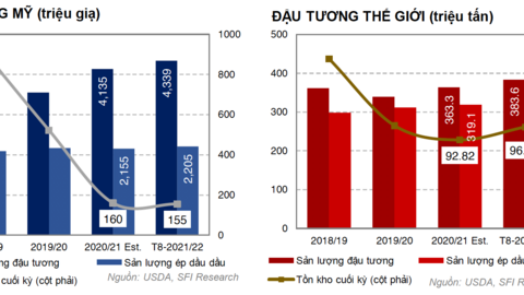 Dự báo giá khô đậu tương tại Hoa Kỳ sẽ giảm nhẹ