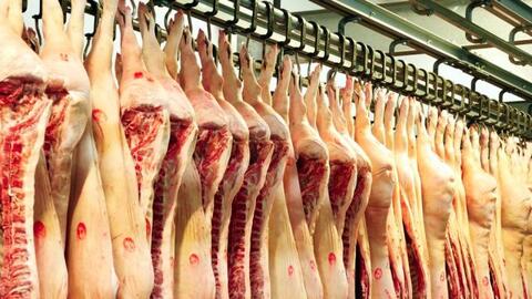 Nhập khẩu thịt lợn dự báo vẫn tăng