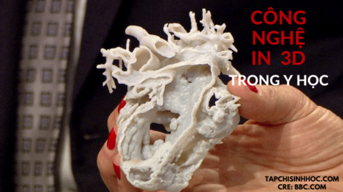 Công nghệ in 3D trong Y học