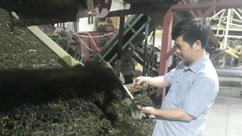 Lai Châu: Hơn 4.600 việc làm cho người lao động ảnh hưởng bởi dịch Covid-19