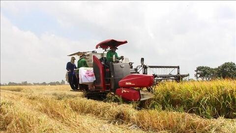 Bộ trưởng Lê Minh Hoan: Sử dụng chính xác, không lạm dụng phân bón, thuốc bảo vệ thực vật