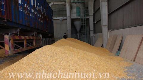 Năm 2022, T&T Group sẽ nhập khẩu 1,5 triệu tấn nguyên liệu thức ăn chăn nuôi