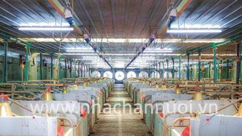 Nghệ An: Toàn tỉnh có 941 trang trại chăn nuôi