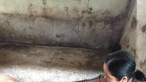 Chăn nuôi lợn “khép kín” theo hướng an toàn sinh học: Giải pháp sinh kế bền vững cho nông hộ miền núi tỉnh Quảng Ngãi