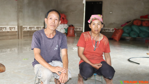 Nông dân Tây Bắc: Từ bỏ ma tuý, lão nông người Mông viết lại cuộc đời