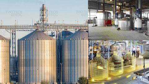 Nhà máy nghiền đậu tương của Trung Quốc đóng cửa hàng loạt