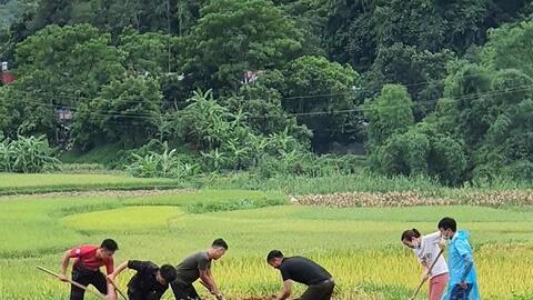 Hà Giang: Dịch tả lợn châu Phi diễn biến phức tạp tại 10 tình, thành phố