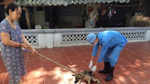 Mục tiêu đến 2030 không có người tử vong vì bệnh Dại