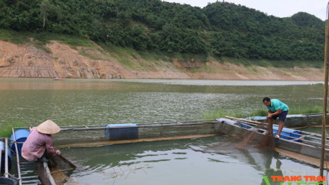 Nông thôn Tây Bắc: Nhiều cách giúp nông dân phát triển kinh tế ở Hoà Bình