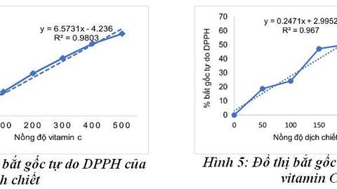 Nghiên cứu ảnh hưởng của vi sóng đến trích ly flavonoid từ rau đắng đất Glinus oppositifolius