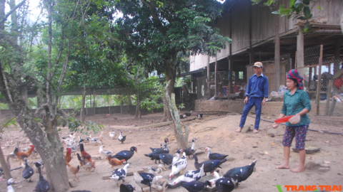 Mường Giôn chuẩn bị cán đích Nông thôn mới