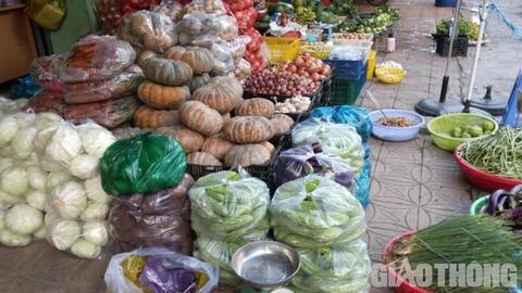 Cần Thơ: Giá rau cao gần bằng giá thịt heo hơi