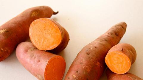 Chế biến bột dinh dưỡng ăn liền từ khoai lang ruột vàng