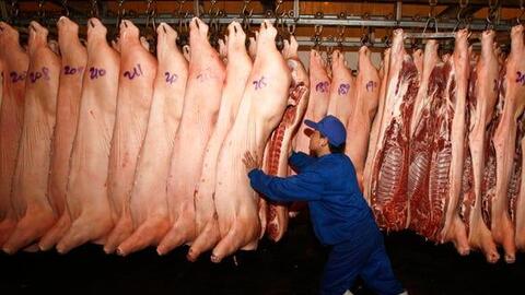 Ghi nhận sự lao dốc của ngành chăn nuôi lợn EU và Trung Quốc