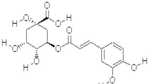 Ứng dụng công nghệ mới vào sản xuất thực phẩm chức năng từ hạt cà phê xanh